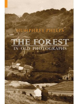 The Forest in Old Photographs